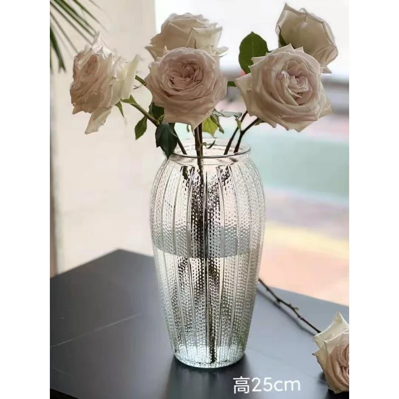 大号复古玻璃花瓶客厅摆件插花简约透明水养富贵竹鲜花专用水培瓶
