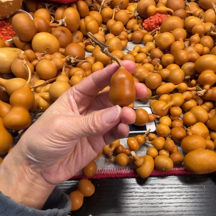 荔***喵荔枝的一把铁包金胖