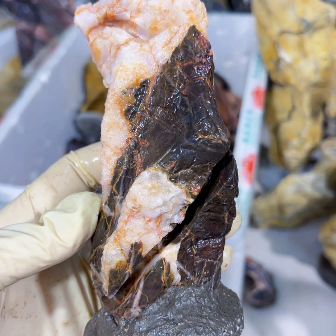 缘**友附石盆景一物一拍