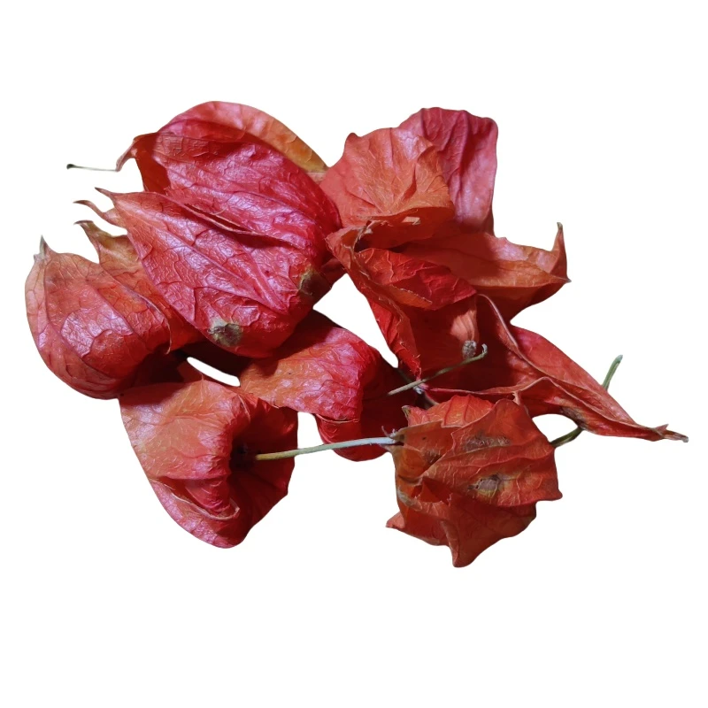 东北现摘红姑娘果皮泡水喝当年新果去皮50克一份顺丰包邮保质保量