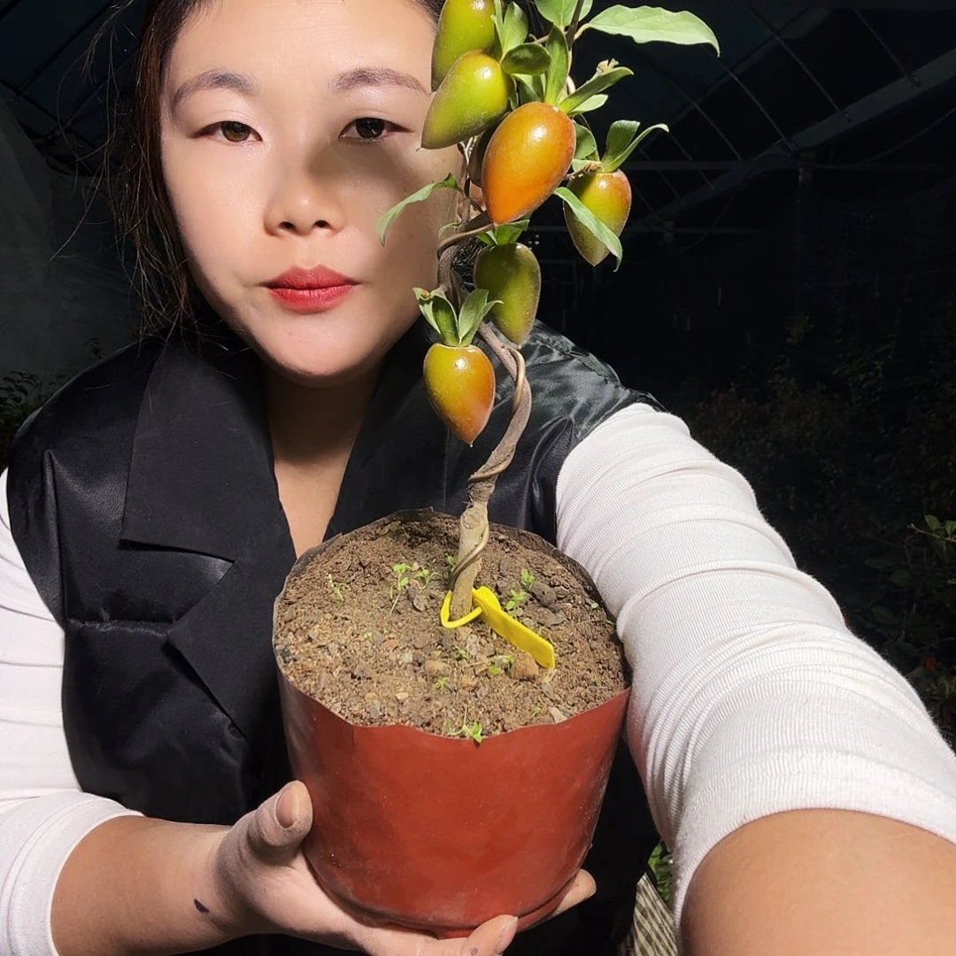 九***月完全开放老鸭不市