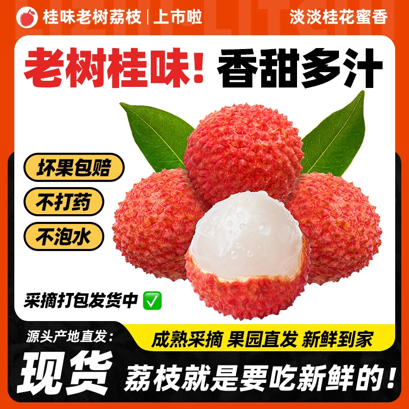 现货广东茂名高州桂味荔枝新鲜老树现摘当季水果顺丰包邮【YOPJ】