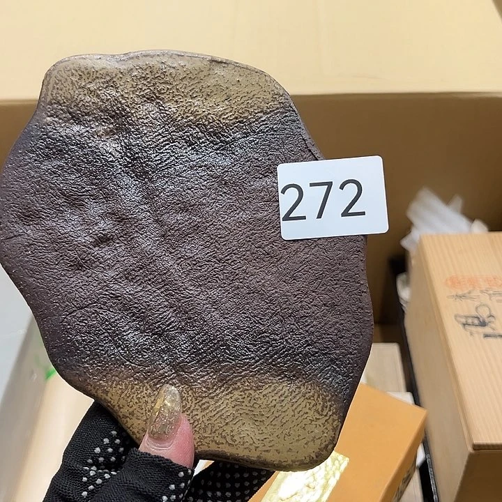 茶宠我的小可爱们都好棒