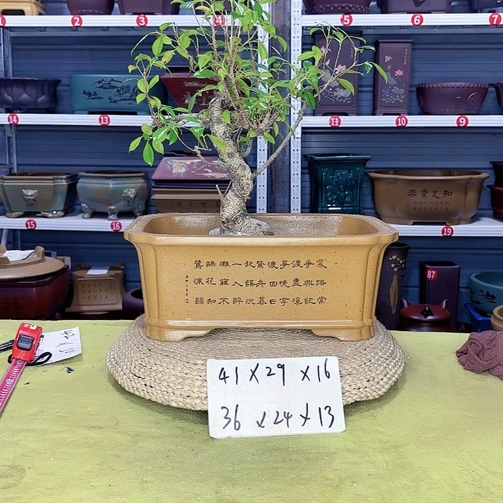 花盆紫砂宜兴紫砂厂