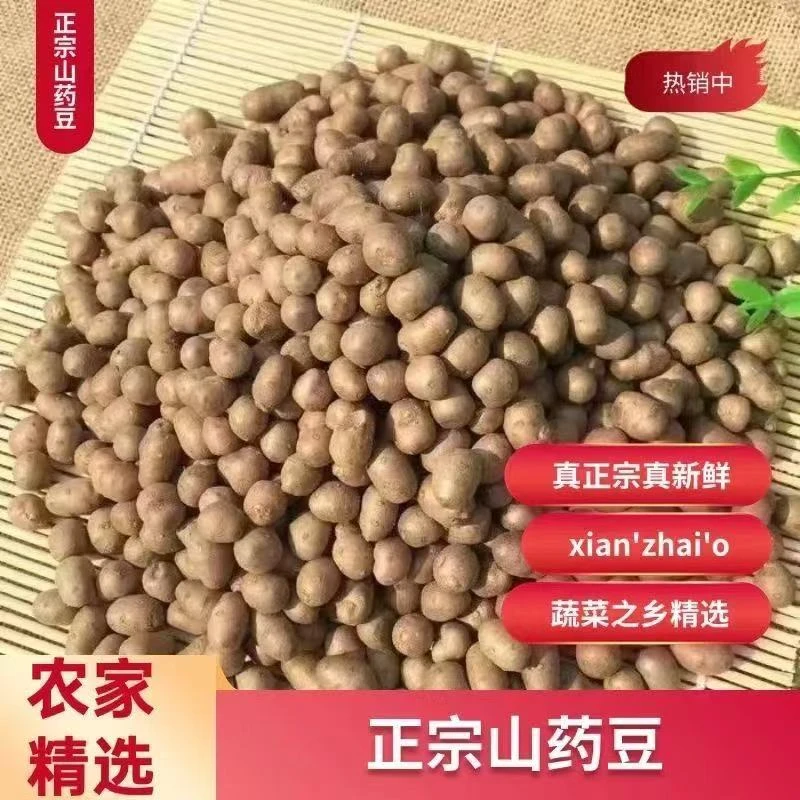 正宗铁锟山药豆新鲜原产地直发软糯香甜