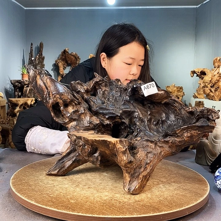 茶盏善*670株木的随行的根艺