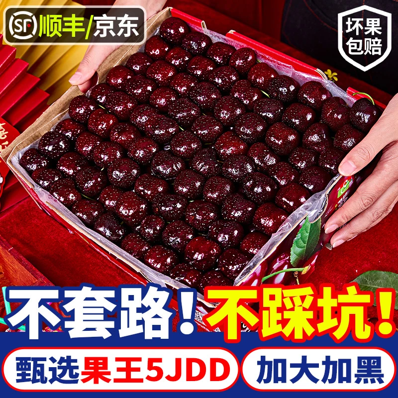 【5JDD果中贵族】智利进口车厘子桑提娜礼盒新鲜水果内附果径卡海运