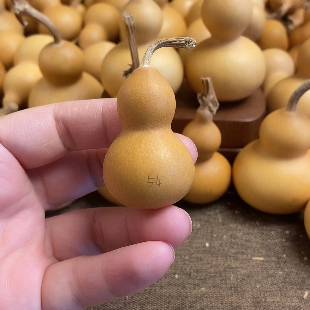 文玩葫芦 完美主义者 慎拍54