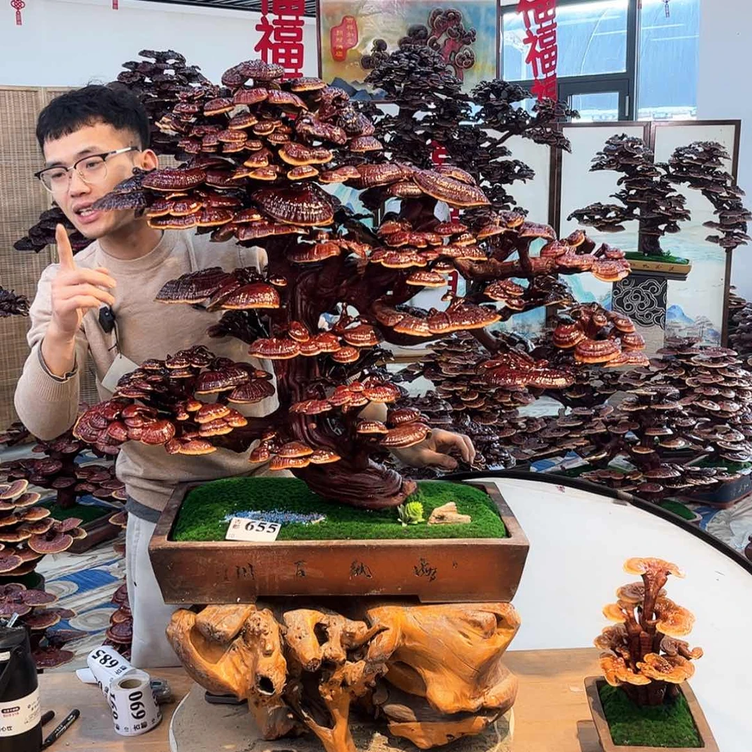 【闪购商品】88888