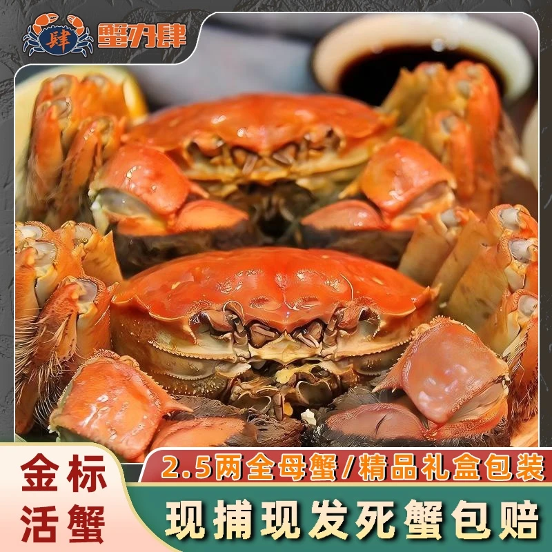 【活蟹】蟹办肆金标蟹 全母蟹2.5两 8只 江苏蟹中秋国庆