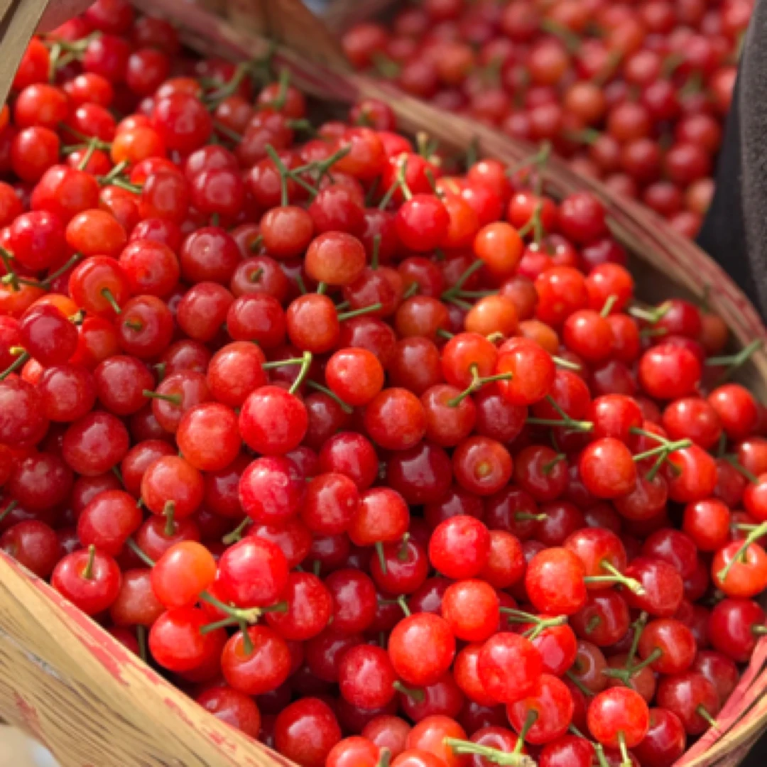 本地樱桃1000g L黄草樱桃