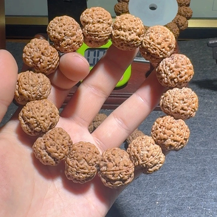 吊坠金刚菩提刚看过这个借口