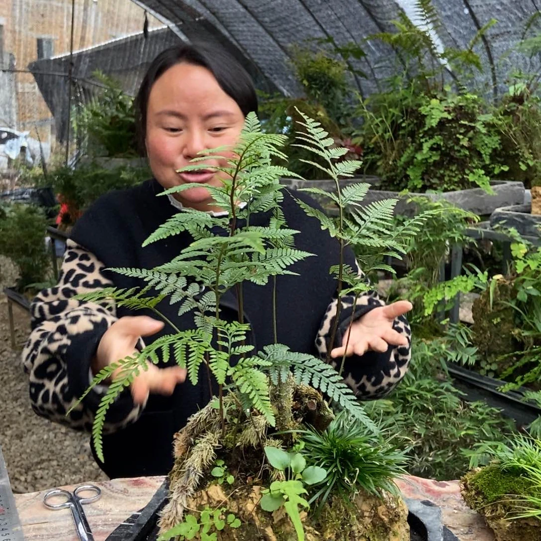 无花朵111111111111