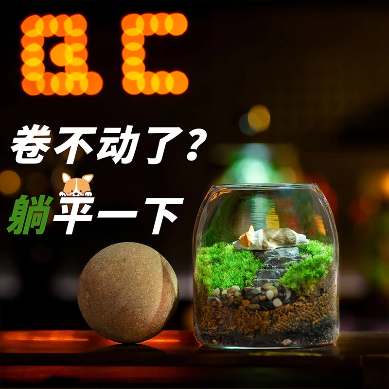 丘辰苔藓微景观生态瓶DIY桌面绿植摆件造景花卉盆栽生日礼物