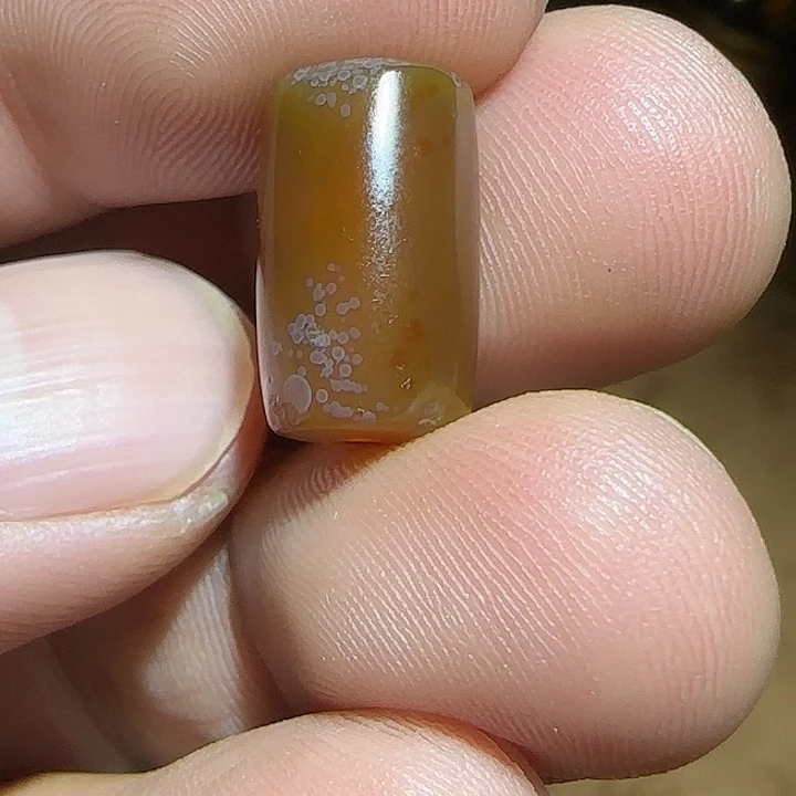 藏区老唐馆子保老漂亮