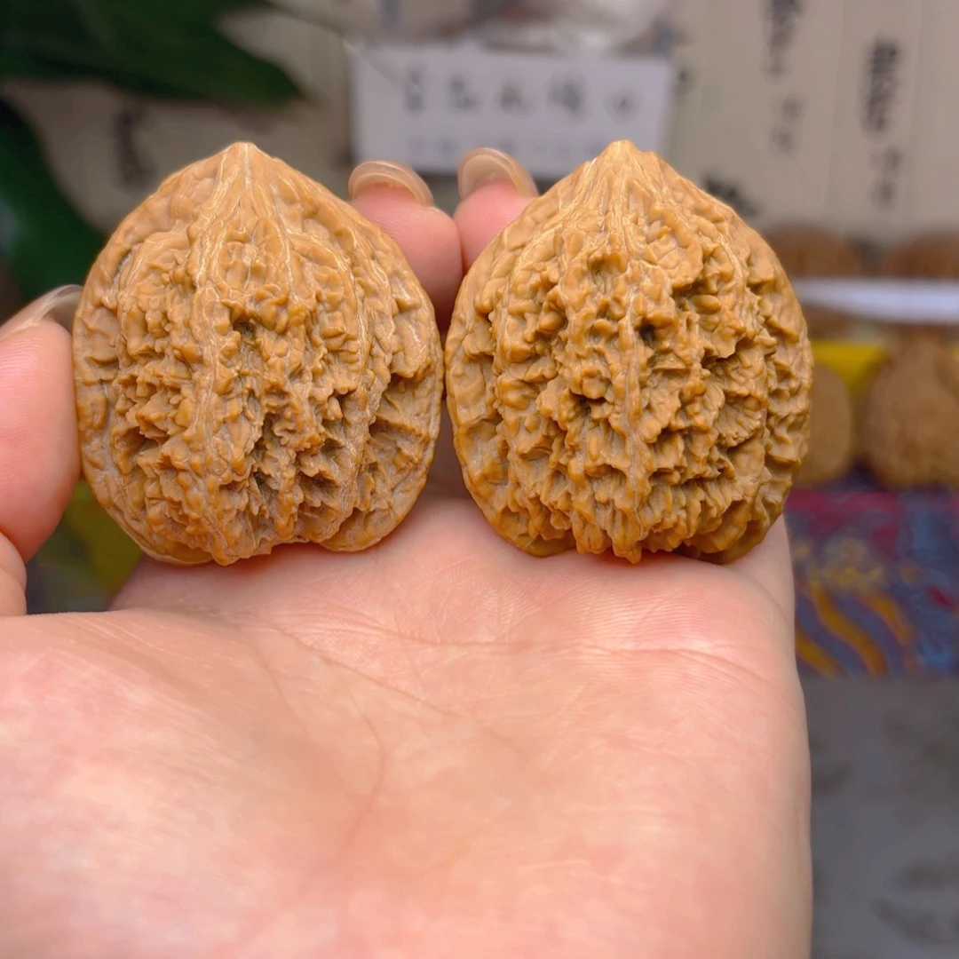 满天星狮子头四十一尺