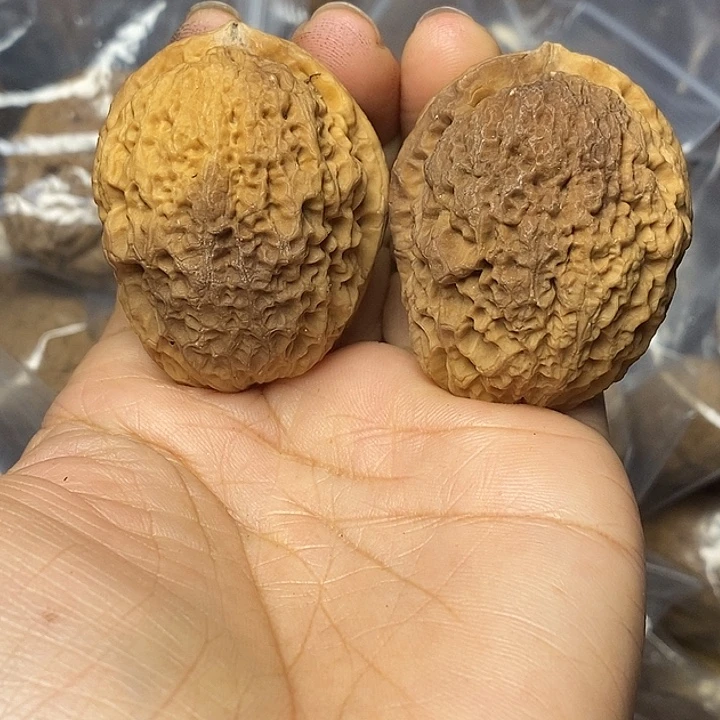 把件文玩核桃云南铁核桃59