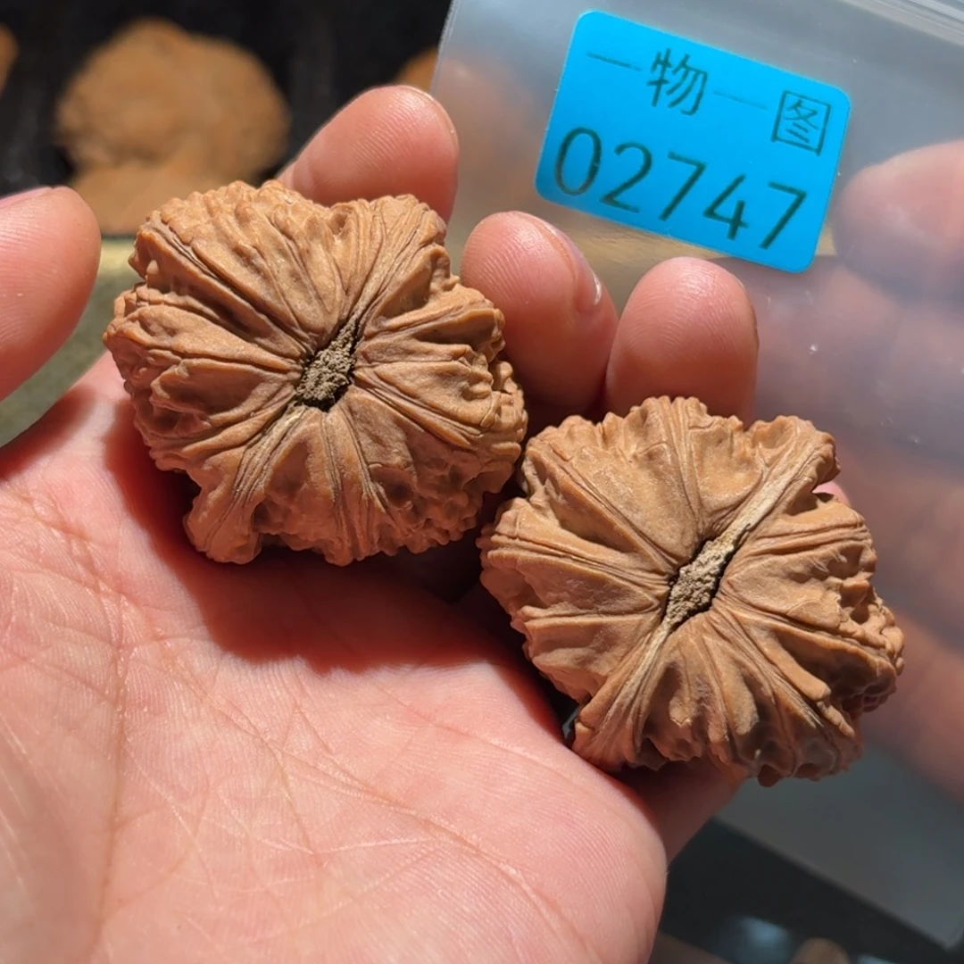 把件文玩核桃白狮子