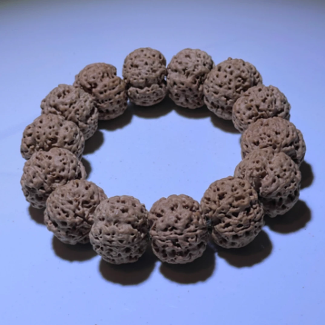 梁产区老树蜂王，矮桩五爪金龙凹底蜂王