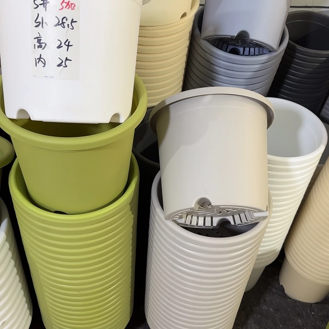 微瑕5号6个无托，灰白