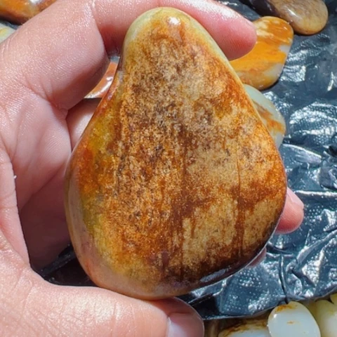 和田玉（糖玉）手链未镶嵌用****813