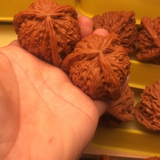 仓***仓核桃核桃核桃核桃核桃