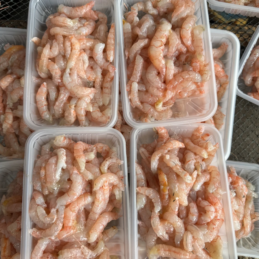 崇武本地野生红虾仁