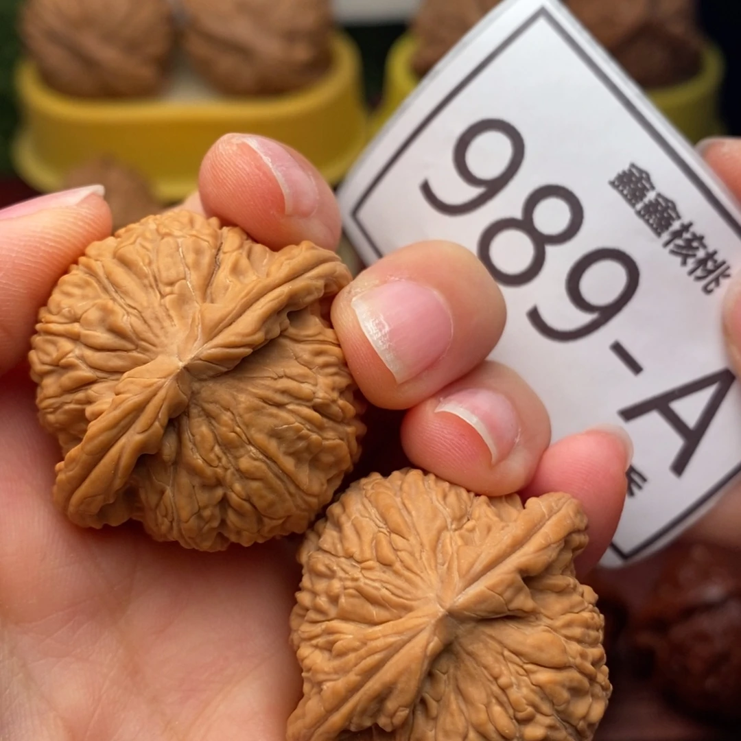 文玩核桃把件白狮子36……