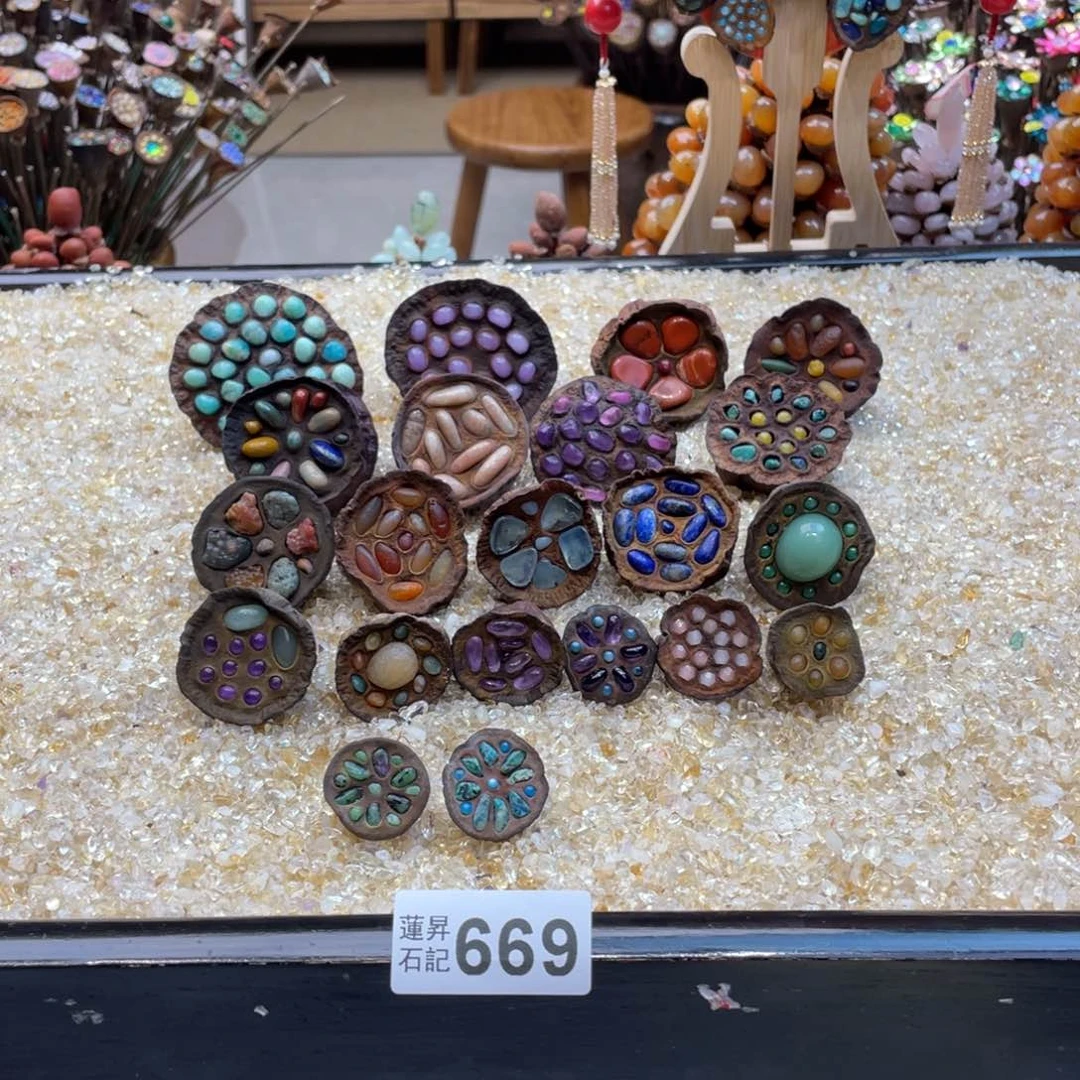 核桃木/黑胡桃（胡桃木）小*女669