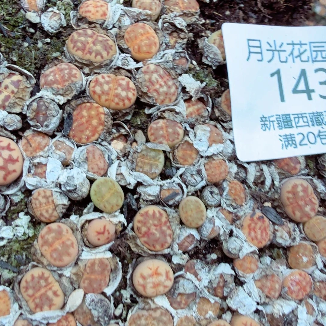 这个点睡起来都会梦中哭143是