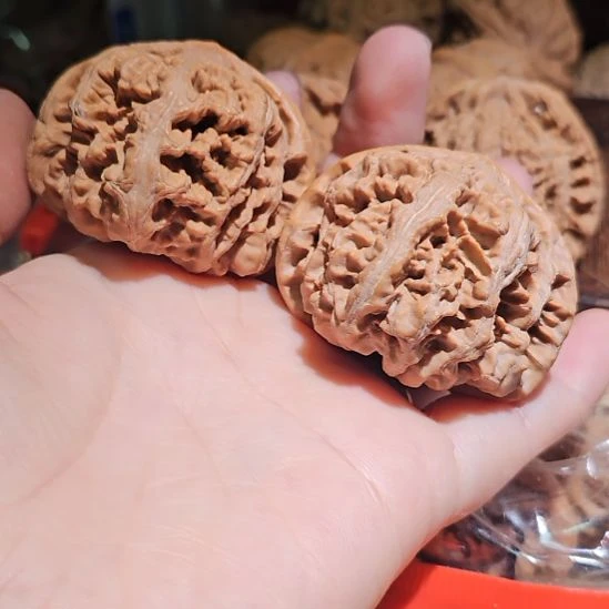 文玩核桃吊坠47粗筋