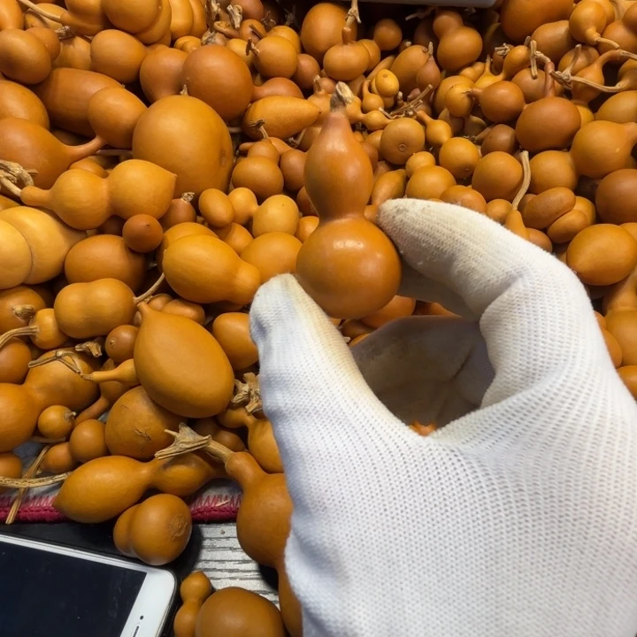 崇****许那一把唇膏一把绕只葫芦