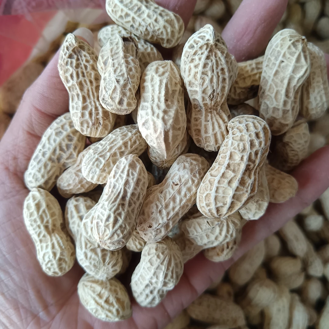 农家花生盐水日晒 烘干花生优质农产品坚果零食