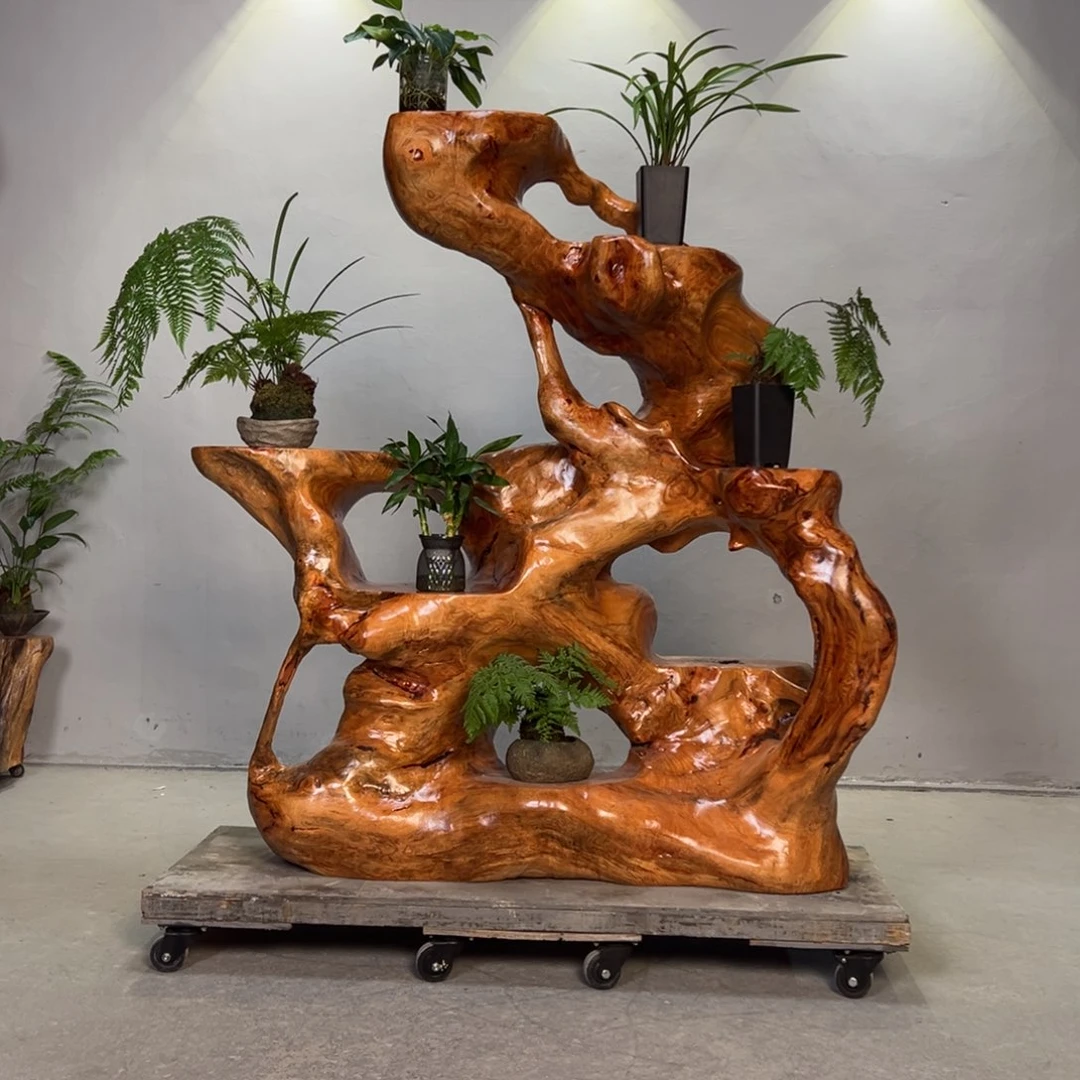 混***帐香樟木树根整体无拼接