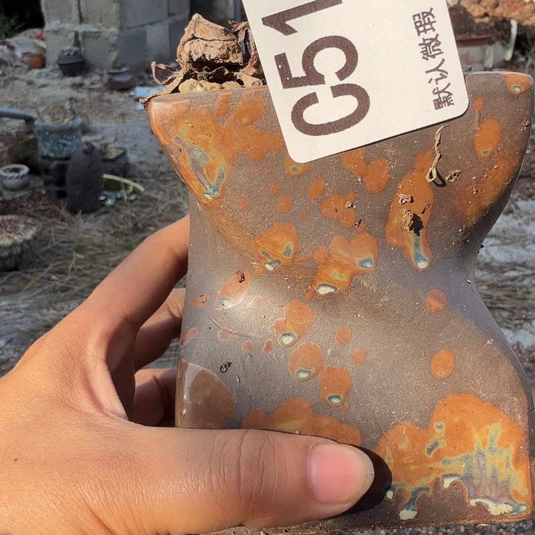 重庆小燕子欢迎大家519