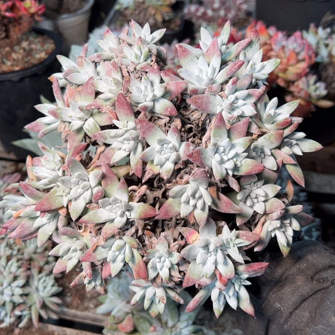 8834哈哈哈哈哈哈哈哈