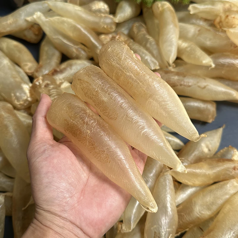 正品蜘蛛母胶正宗鱼胶花胶原筒胶名贵滋补品500g66个