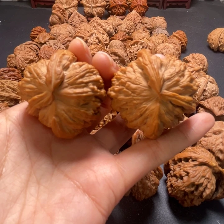 白狮子两棱挂角43尺寸核桃哈哈哈哈哈哈哈哈