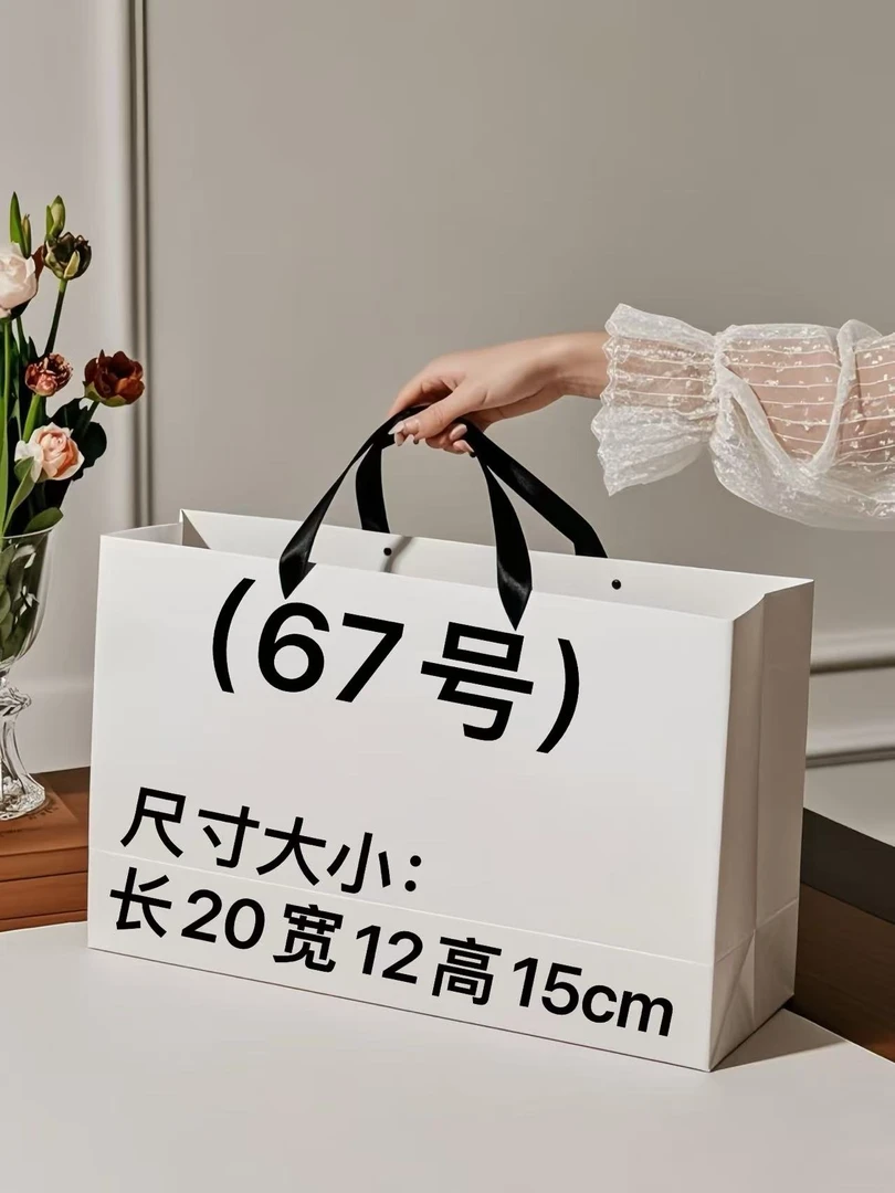 【67号】2025新款斜跨枕头包 1015#