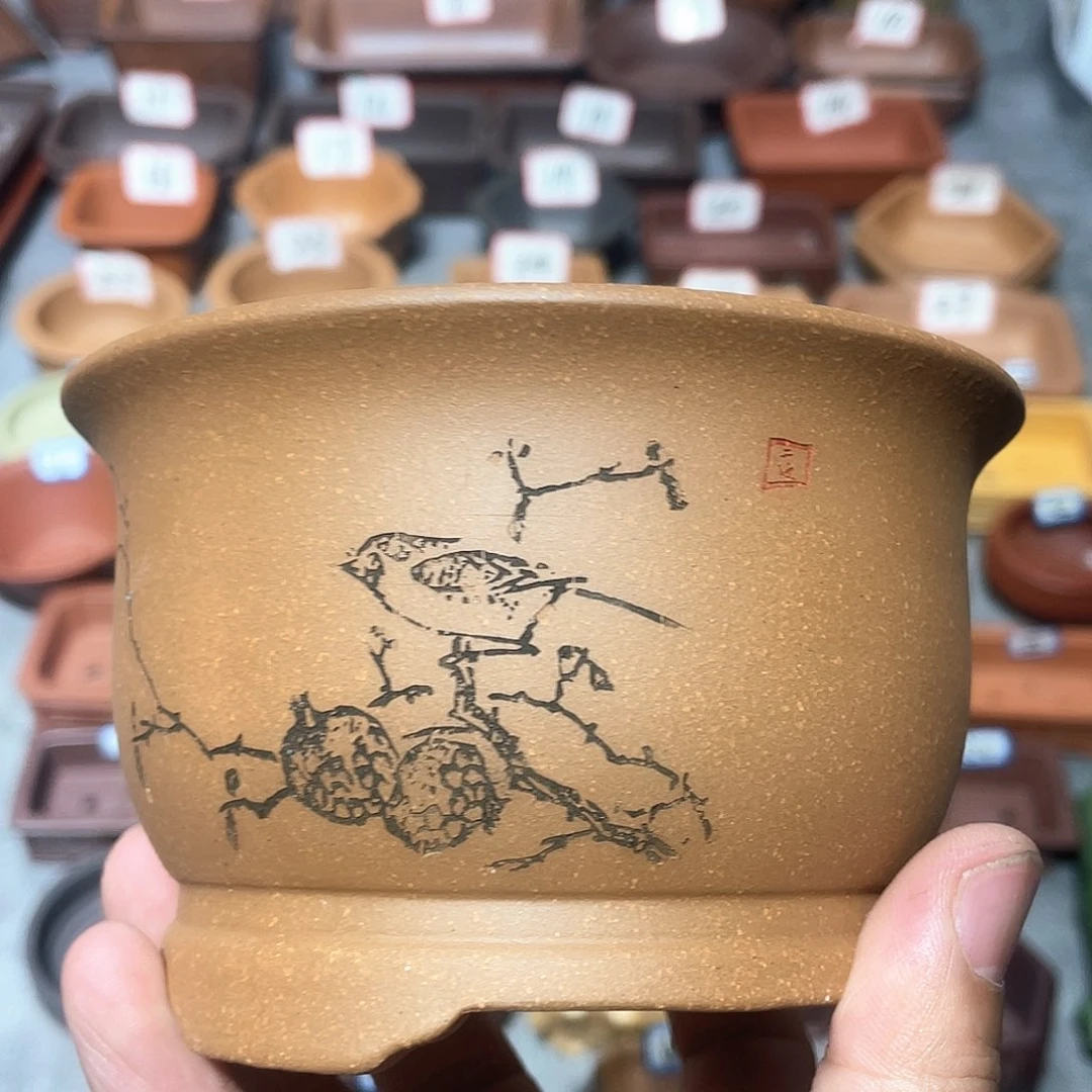 祝*园紫砂小盆10*7cmmmm