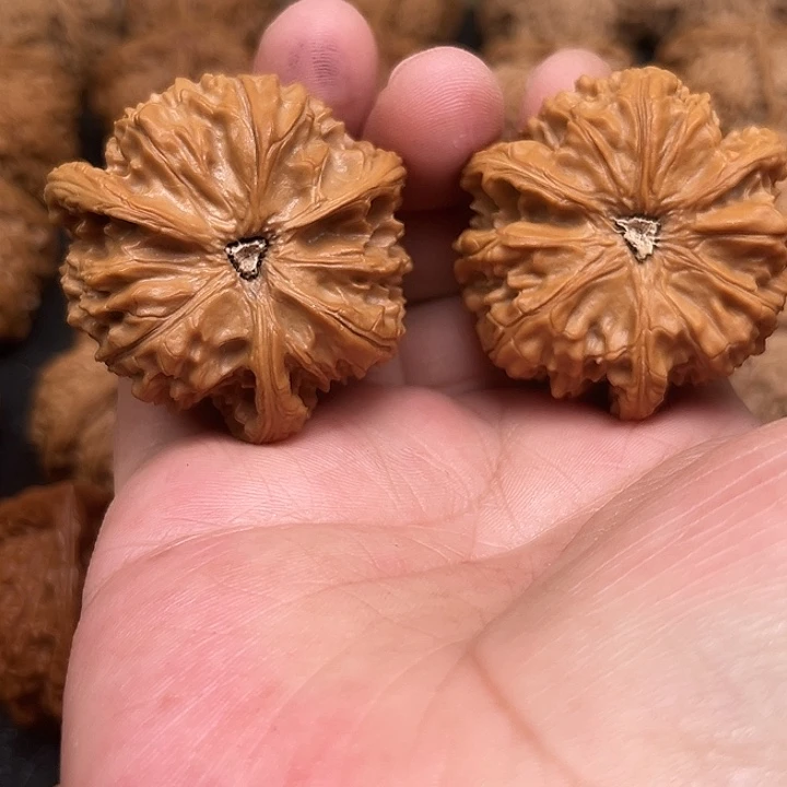 红***你文玩核桃吊坠你们都在