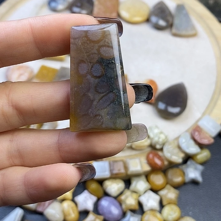 硅化玉未镶嵌颈饰13