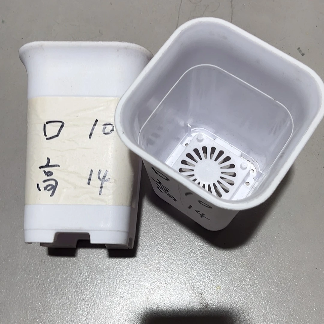 加厚方万象口10高14白盆10个无托