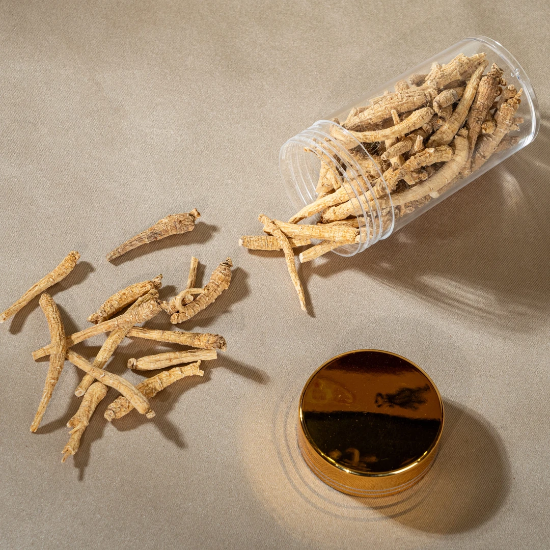容颜精选西洋参条正宗加拿大花旗参泡茶泡水非人参片