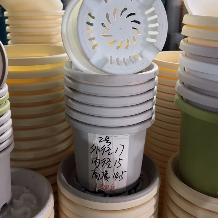 四季2#口径17无托灰白6个