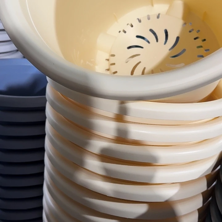 四季8号米黄无托10个特价