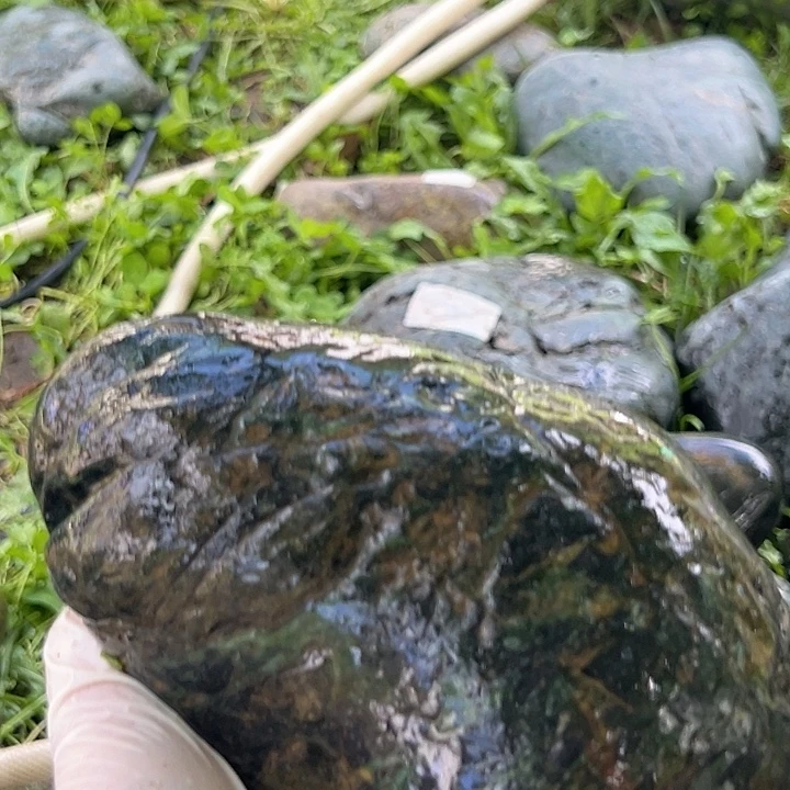 美***高合金东陵石藏玉藏玉
