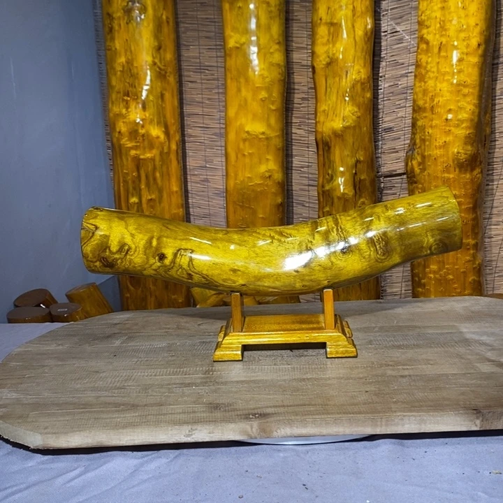 龙***场木四川雅安小叶桢楠金丝楠横财