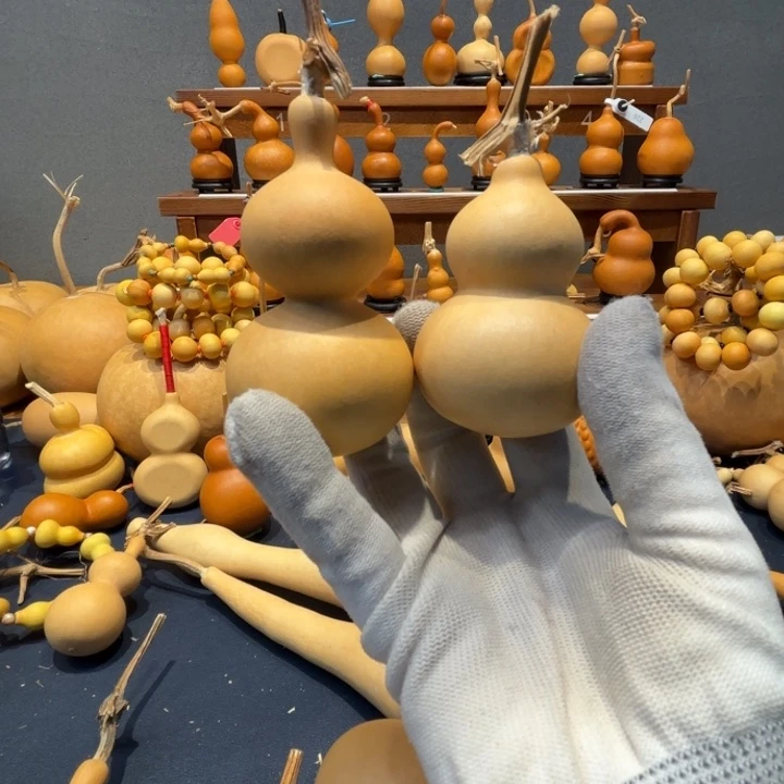 小***文天然生长自然生长葫芦