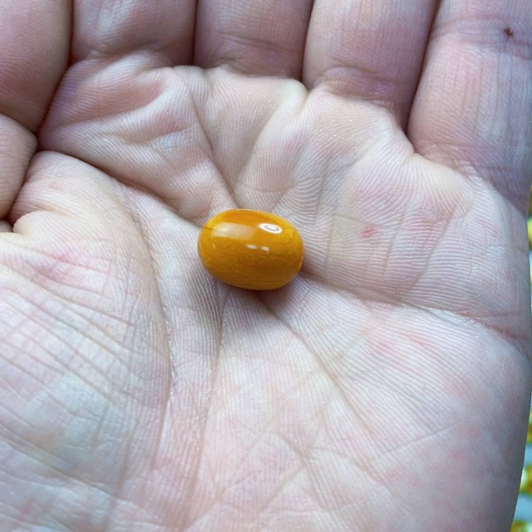 未镶嵌琥珀珠宝奇石乐*